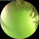 ./images/calvert/underwater/20260619/underwater20260619_145501M.jpg