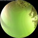 ./images/calvert/underwater/20260619/underwater20260619_150501M.jpg