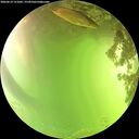 ./images/calvert/underwater/20260619/underwater20260619_151001M.jpg