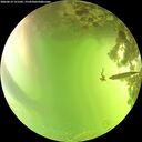 ./images/calvert/underwater/20260619/underwater20260619_151502M.jpg