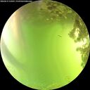 ./images/calvert/underwater/20260619/underwater20260619_152001M.jpg