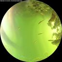 ./images/calvert/underwater/20260619/underwater20260619_152501M.jpg