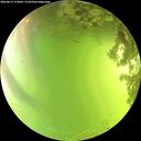 ./images/calvert/underwater/20260619/underwater20260619_153001M.jpg