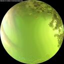./images/calvert/underwater/20260619/underwater20260619_154001M.jpg