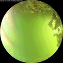 ./images/calvert/underwater/20260619/underwater20260619_154502M.jpg