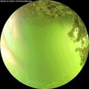 ./images/calvert/underwater/20260619/underwater20260619_155001M.jpg