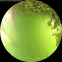 ./images/calvert/underwater/20260619/underwater20260619_155502M.jpg