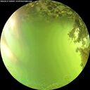 ./images/calvert/underwater/20260619/underwater20260619_160002M.jpg