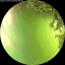 ./images/calvert/underwater/20260619/underwater20260619_160501M.jpg