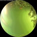 ./images/calvert/underwater/20260619/underwater20260619_161001M.jpg