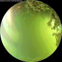 ./images/calvert/underwater/20260619/underwater20260619_161502M.jpg