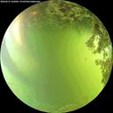 ./images/calvert/underwater/20260619/underwater20260619_162002M.jpg