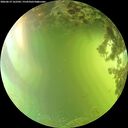 ./images/calvert/underwater/20260619/underwater20260619_162501M.jpg