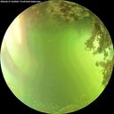 ./images/calvert/underwater/20260619/underwater20260619_163001M.jpg