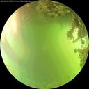 ./images/calvert/underwater/20260619/underwater20260619_163501M.jpg