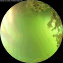 ./images/calvert/underwater/20260619/underwater20260619_164002M.jpg