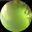 ./images/calvert/underwater/20260619/underwater20260619_164501M.jpg
