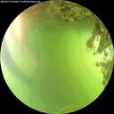 ./images/calvert/underwater/20260619/underwater20260619_165001M.jpg