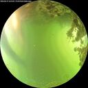 ./images/calvert/underwater/20260619/underwater20260619_165502M.jpg