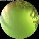 ./images/calvert/underwater/20260619/underwater20260619_170501M.jpg