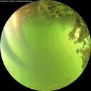 ./images/calvert/underwater/20260619/underwater20260619_171001M.jpg