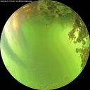 ./images/calvert/underwater/20260619/underwater20260619_171501M.jpg