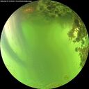 ./images/calvert/underwater/20260619/underwater20260619_172501M.jpg