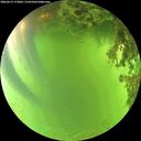 ./images/calvert/underwater/20260619/underwater20260619_173001M.jpg
