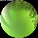 ./images/calvert/underwater/20260619/underwater20260619_173501M.jpg