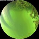 ./images/calvert/underwater/20260619/underwater20260619_174001M.jpg