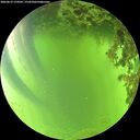 ./images/calvert/underwater/20260619/underwater20260619_174501M.jpg