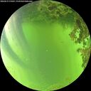 ./images/calvert/underwater/20260619/underwater20260619_175001M.jpg