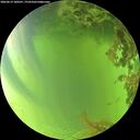 ./images/calvert/underwater/20260619/underwater20260619_180501M.jpg