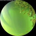 ./images/calvert/underwater/20260619/underwater20260619_182001M.jpg