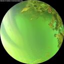 ./images/calvert/underwater/20260619/underwater20260619_184001M.jpg