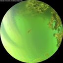 ./images/calvert/underwater/20260619/underwater20260619_184501M.jpg