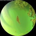 ./images/calvert/underwater/20260619/underwater20260619_185001M.jpg