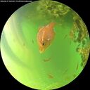 ./images/calvert/underwater/20260619/underwater20260619_185501M.jpg