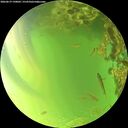 ./images/calvert/underwater/20260619/underwater20260619_190001M.jpg