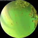 ./images/calvert/underwater/20260619/underwater20260619_191501M.jpg