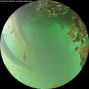 ./images/calvert/underwater/20260619/underwater20260619_202502M.jpg