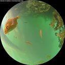 ./images/calvert/underwater/20260619/underwater20260619_204002M.jpg