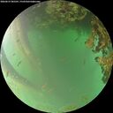 ./images/calvert/underwater/20260619/underwater20260619_205501M.jpg