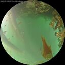 ./images/calvert/underwater/20260619/underwater20260619_211501M.jpg