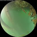 ./images/calvert/underwater/20260619/underwater20260619_212001M.jpg