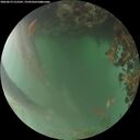 ./images/calvert/underwater/20260619/underwater20260619_215501M.jpg