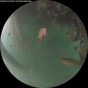 ./images/calvert/underwater/20260619/underwater20260619_221501M.jpg