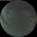 ./images/calvert/underwater/20260620/underwater20260620_043501M.jpg