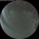 ./images/calvert/underwater/20260620/underwater20260620_044002M.jpg