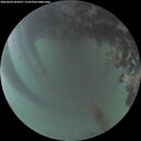./images/calvert/underwater/20260620/underwater20260620_044501M.jpg